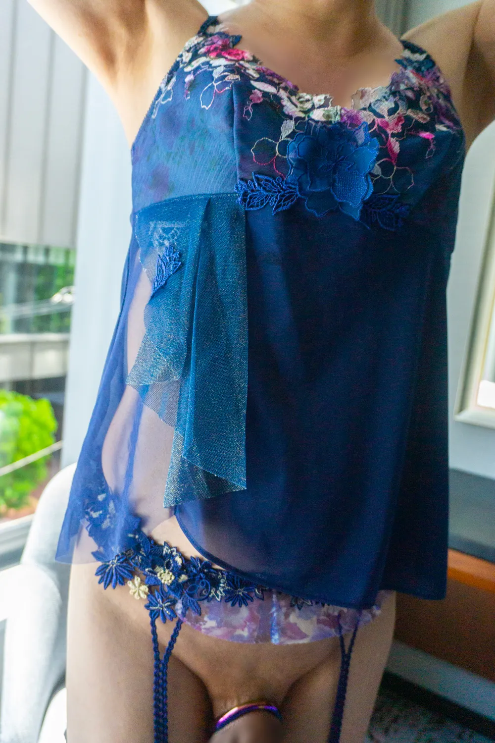 パイチンモデル